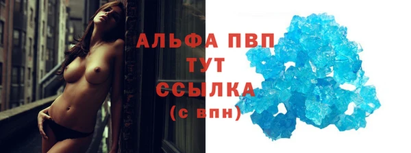 молекула духа Арсеньев