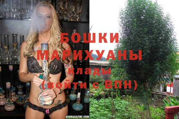 молекула духа Арсеньев
