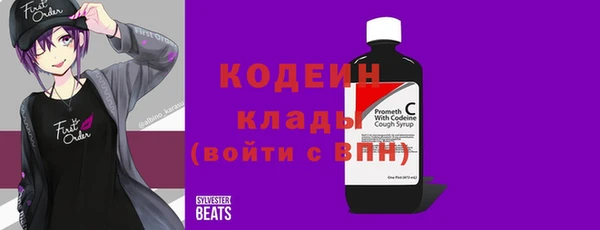 молекула духа Арсеньев