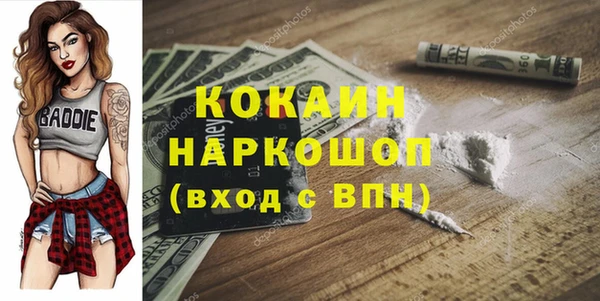 молекула духа Арсеньев
