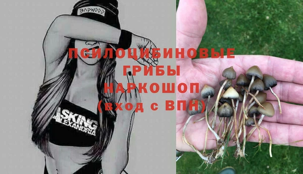 молекула духа Арсеньев