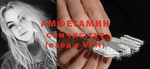молекула духа Арсеньев