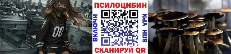 где найти наркотики  Аша  Галлюциногенные грибы MAGIC MUSHROOMS 
