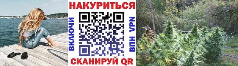 Марихуана Amnesia Аша